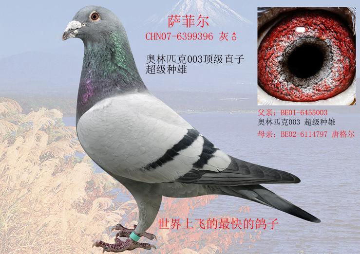 ÿ��һ�룺�廢�Ͻ�֮���ƶ�