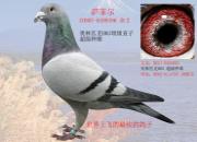 ÿ��һ�룺�廢�Ͻ�֮���ƶ�