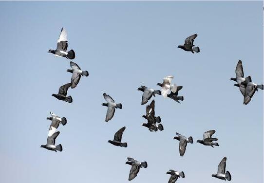 ����֮������� ���˵��� 