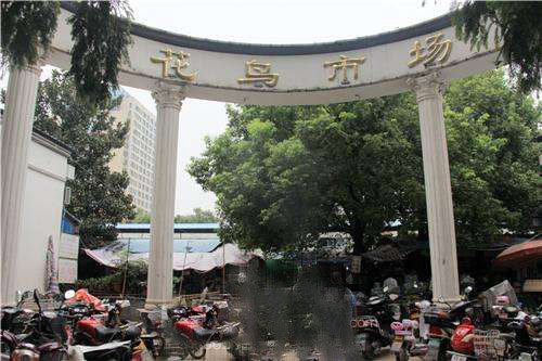 ���������г������⡱������