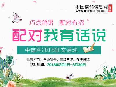 2018中信网“配对我有话说”征文获奖名单出炉