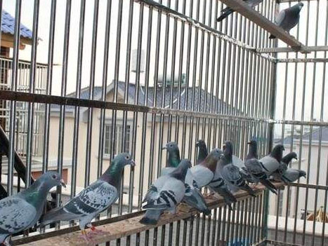 ���ۣ����Ʋ��������ٶ̾���ھ�