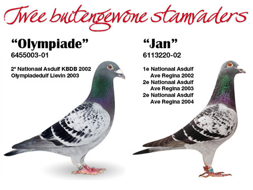 ÿ��һ�룺�̾������������ƥ��003��