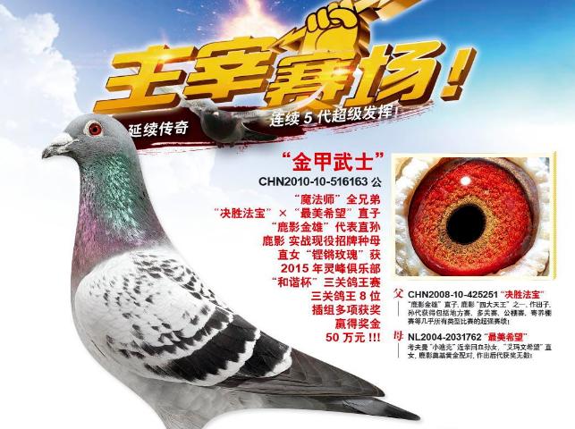 ÿ��һ�룺���۰������������