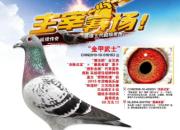 ÿ��һ�룺���۰������������
