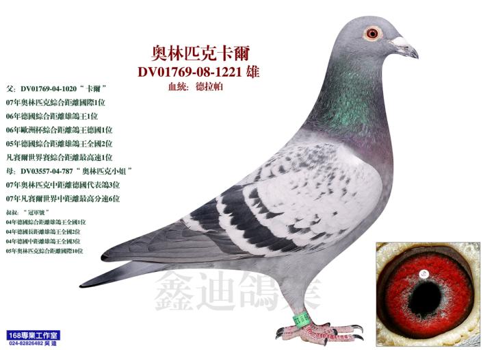 ÿ��һ�룺����֮�󡰰���ƥ�˿�����