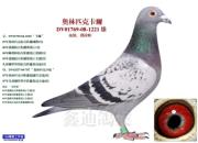 ÿ��һ�룺����֮�󡰰���ƥ�˿�����