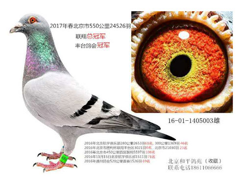 ÿ��һ�룺35��Ҳ�����ı����������ܹھ�