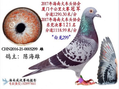 ����ǧ����ھ�������֮���ף�