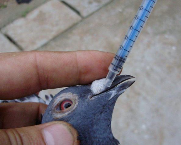 ���벻��̸��ҩ��ɫ��