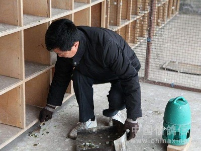 �����ﶬͶʳ���� �����������