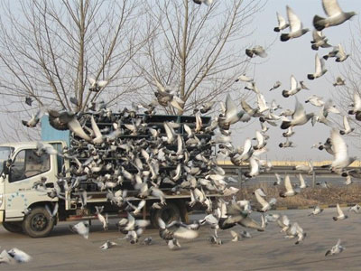 ��Ҳ���ǹ����ϰ� ��̸����ŷ�ѡַ��ʱ��