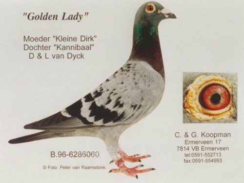 �ٿ����룺�������Ļƽ�Ů��