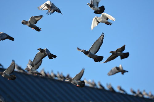 ̸̸�������ʧ����ԭ��