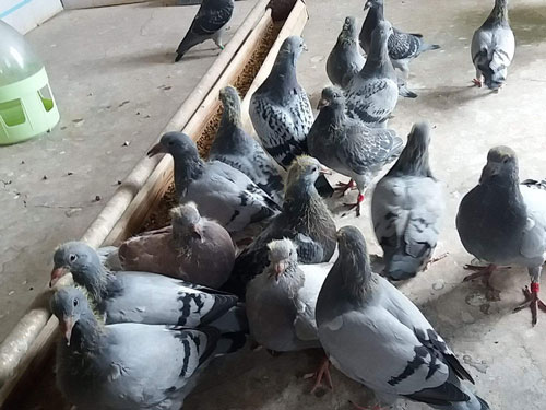 ������ ����һ�ţ�