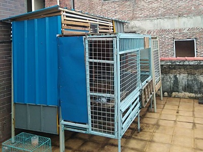 ����һ��� �����Ĵθ���