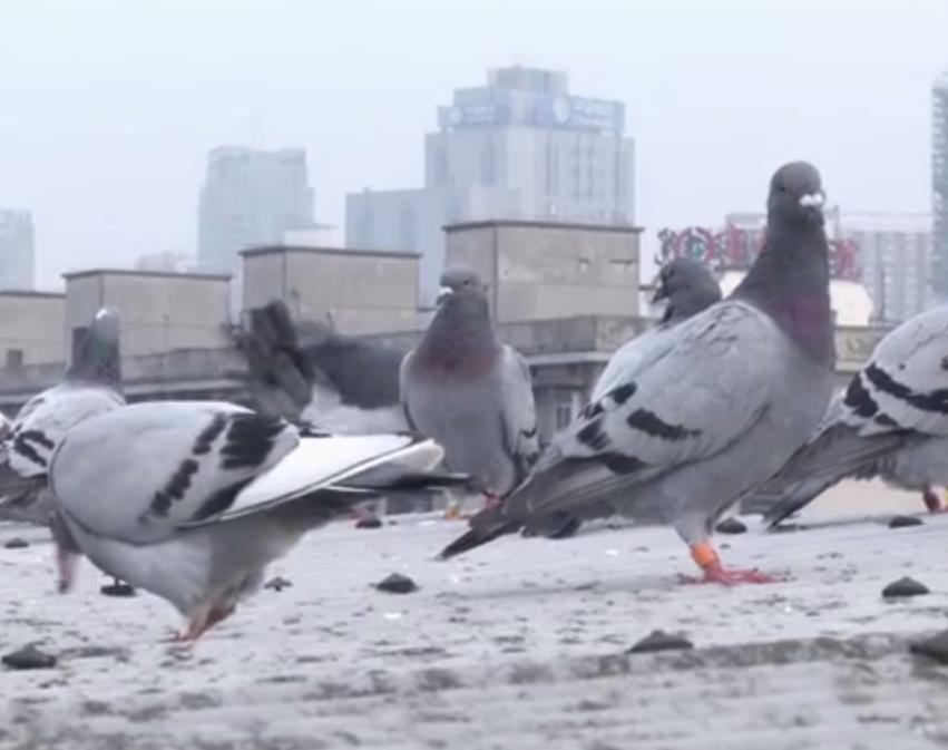 ������̫������ Ů�����̲�ס����