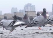 ������̫������ Ů�����̲�ס����