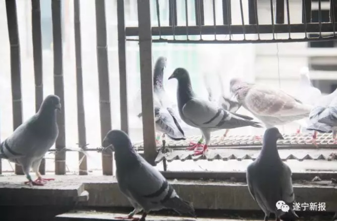 ��������50������ ����������ͷ����