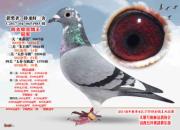ţ�ۻ���ն��̫ԭ���Ĺظ����ھ�