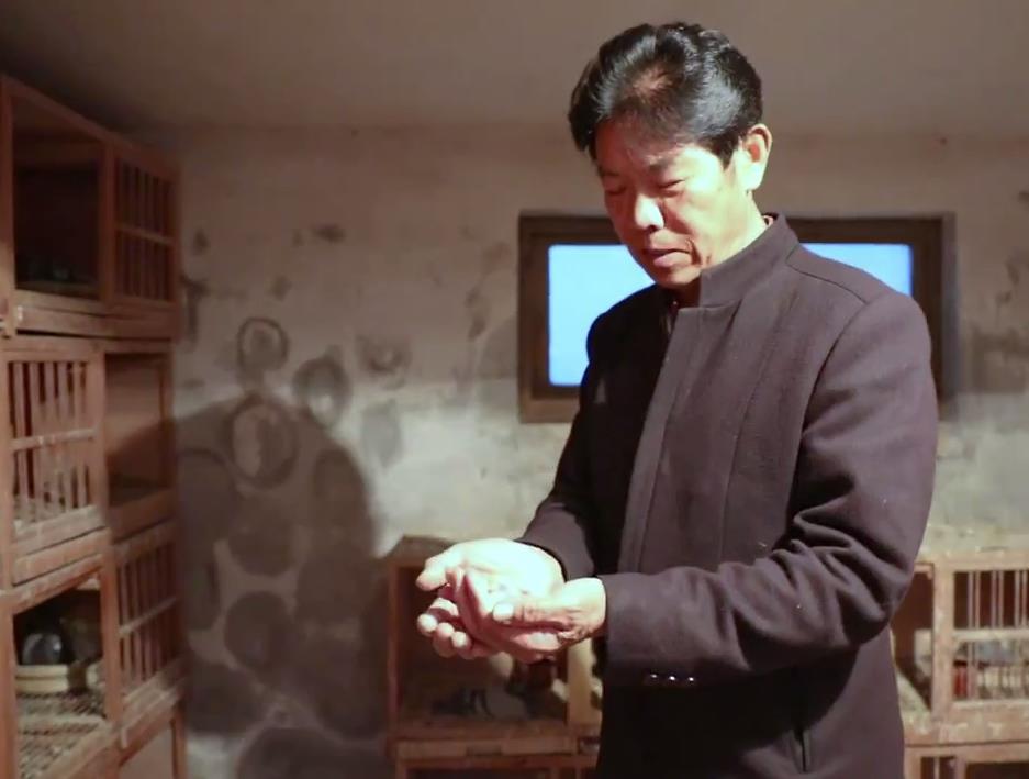 �㽭�����ˮ������ι�����Ĳ�