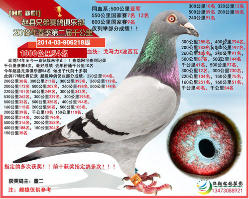 ÿ��һ�룺ǧ��������֮��