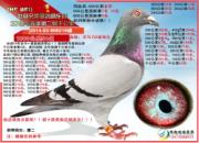 ÿ��һ�룺ǧ��������֮��