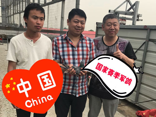 �ɸ봫˵�������ж�����������