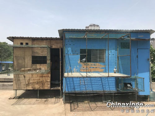 �½��＾�ر�ª�� ���㽨��