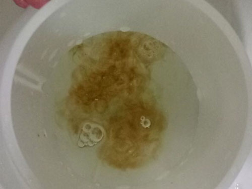 �ļ����ô�
