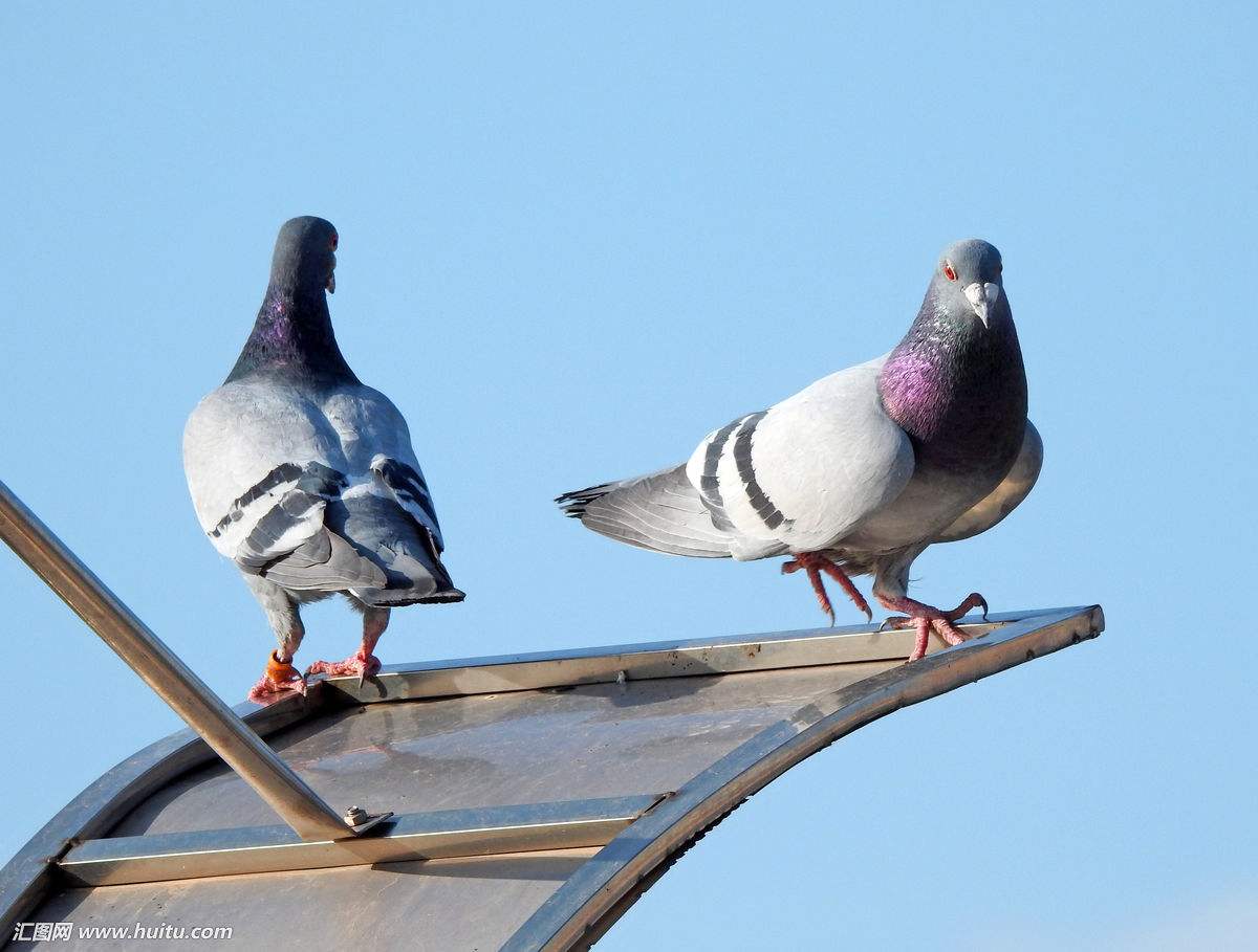 ʫ�衰���ѹ顱����Ӯ���Ʋ��ܼ�