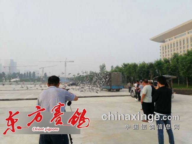 �ø��Ӳ��¼�į ��������Բ���չٿ����ڴ�