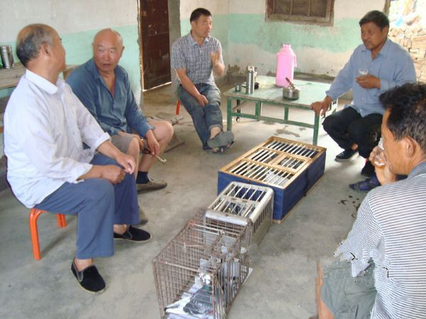 ��������������Ǹ����˻���