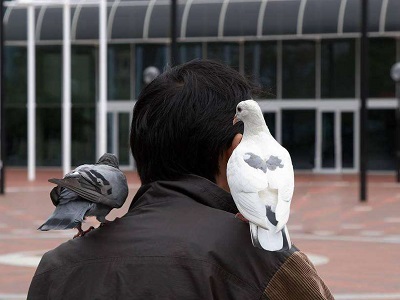 ���������Ͻ���Ⱥ�� ����һ���ĸ����ܹھ�