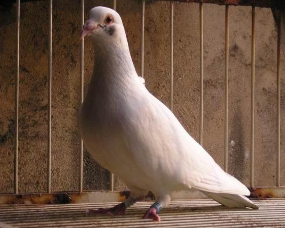 ������������ġ��������