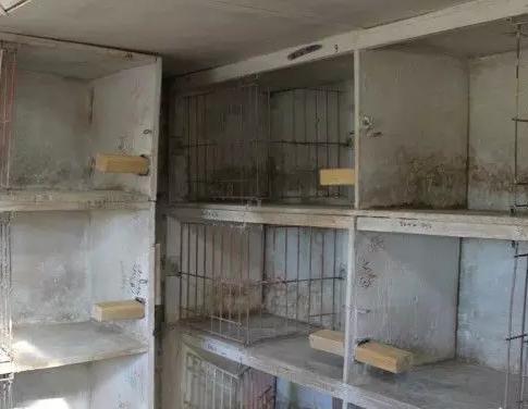 ��С���ܼܳ��ᵰ�裡