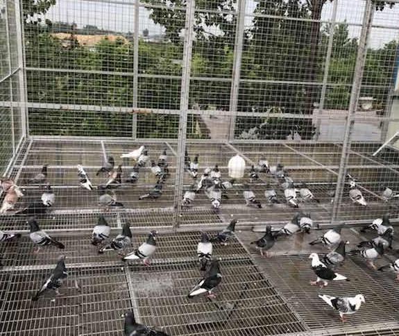 �½��ָ��� ������ô����