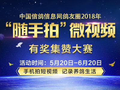 鸽友圈“随手拍”活动已圆满截止