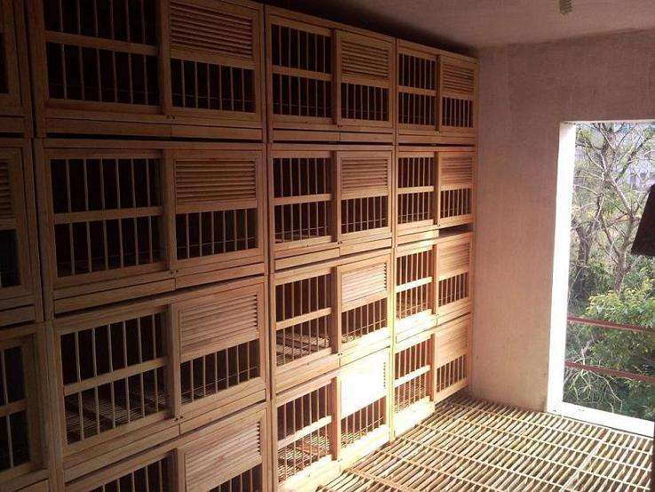 �������һ��Ҫ��ʲô��