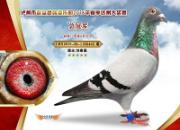�ɶ�ǧ���ﵱ�չ��Ƽ�¼ ���Ѽ�ͼ���ʹ���