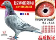 �����ĸ벻�Ӷ� �������Ͼ��Ǹ���