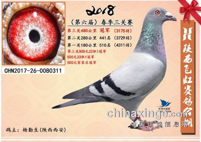 һ�괺�����ﻨ-�ɺ�����¸߷壨ͼ��