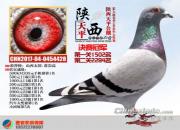 �Ͽ������һ����� ������ƽ�����������Ƚ�����