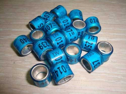 ����ά������������㻷����