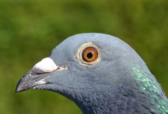 ���⣡��������������·