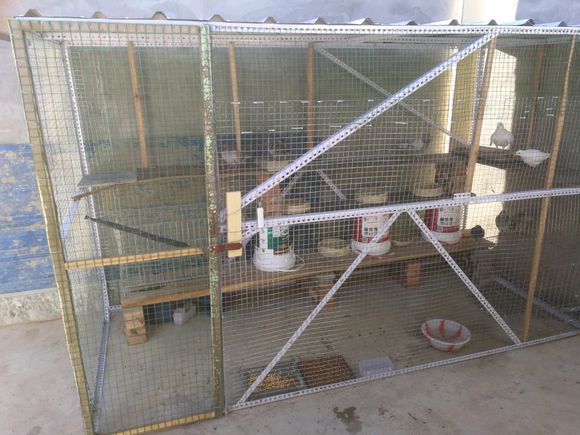 ����500��㶨 ��ҿ�����Ҫ�Ľ�ʲô