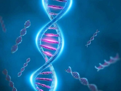 2018����豭˵