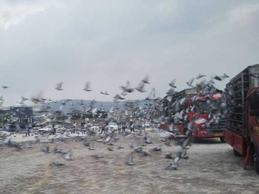 ����ʡ��Զ���������켯���