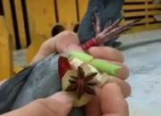 �׸����ﱻ���ϵ��ϷŻ�