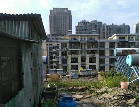 Ҫ�����ø� �ȸ�þ�����������